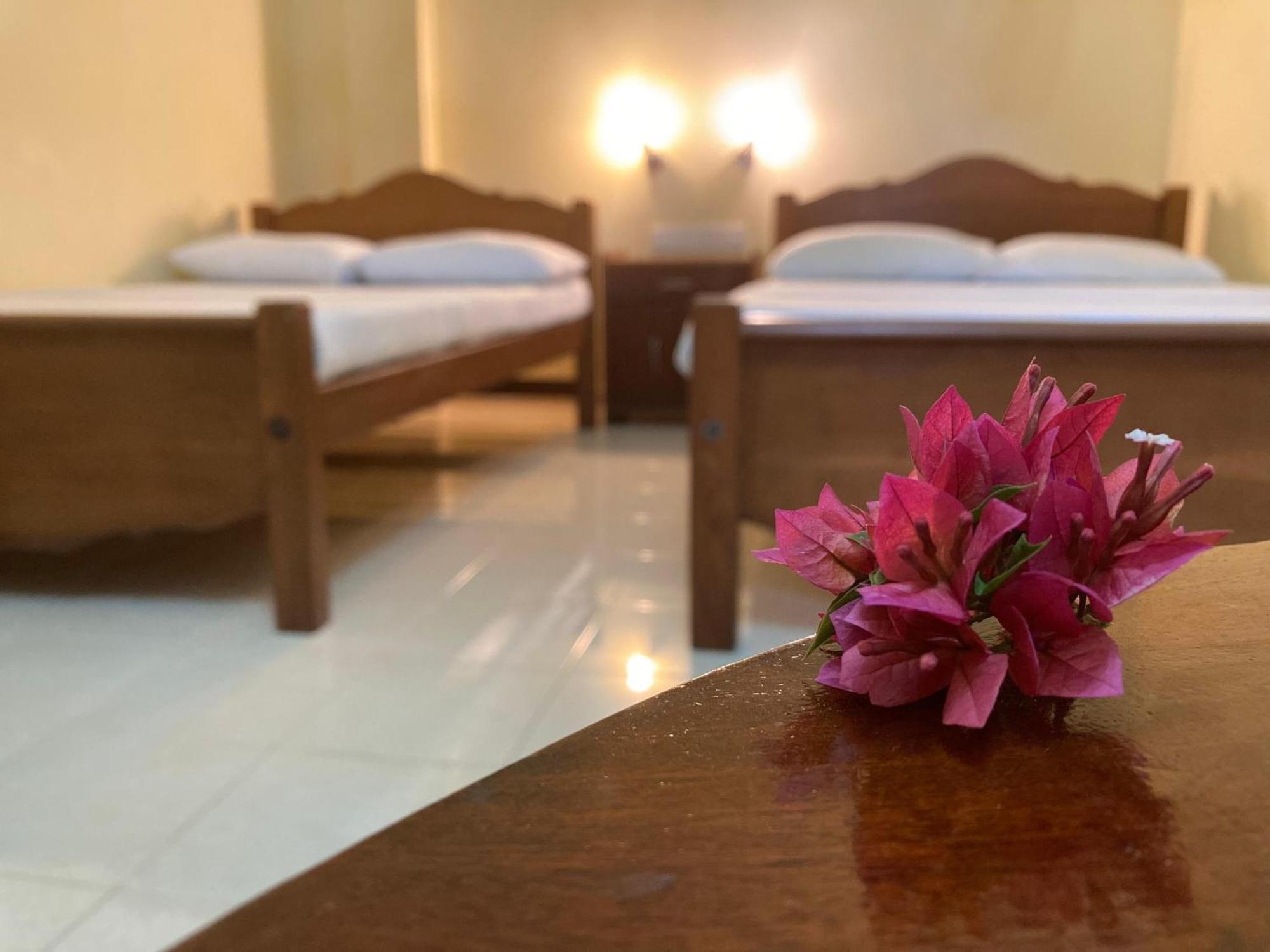 Rainforest Lodge, Deniyaya Singheraja Luaran gambar